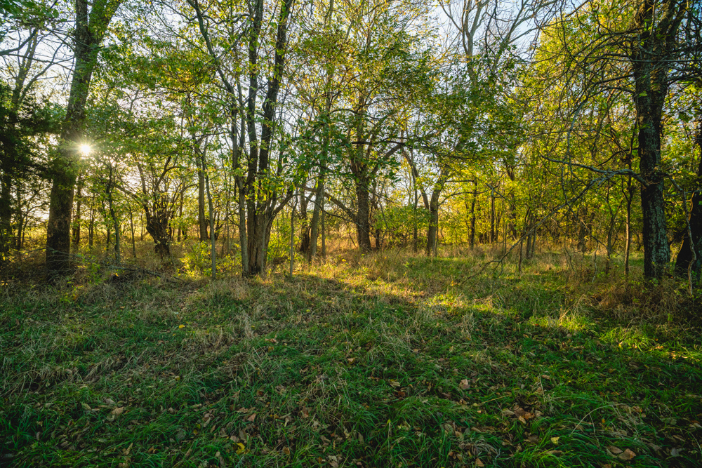 Multi-Use Land with Great Recreational Opportunities