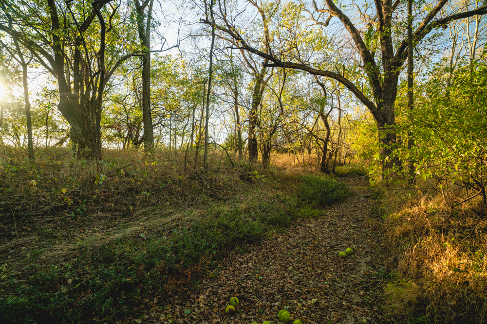 Multi-Use Land with Great Recreational Opportunities