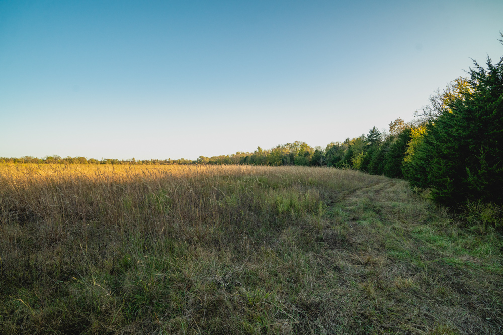 Multi-Use Land with Great Recreational Opportunities