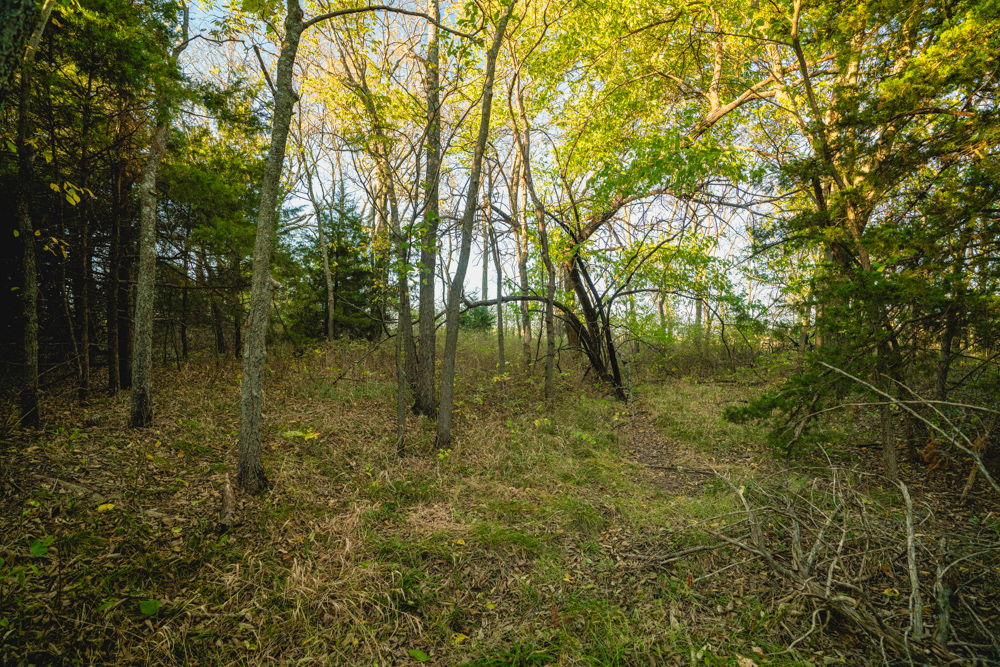 Multi-Use Land with Great Recreational Opportunities