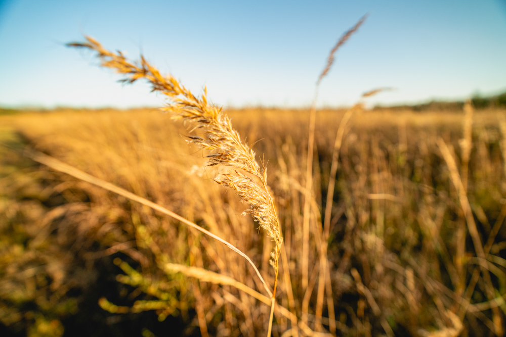 Multi-Use Land with Great Recreational Opportunities