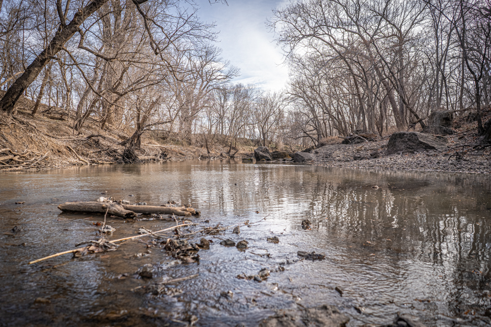 Big Bucks, Big Timber, and Big Income