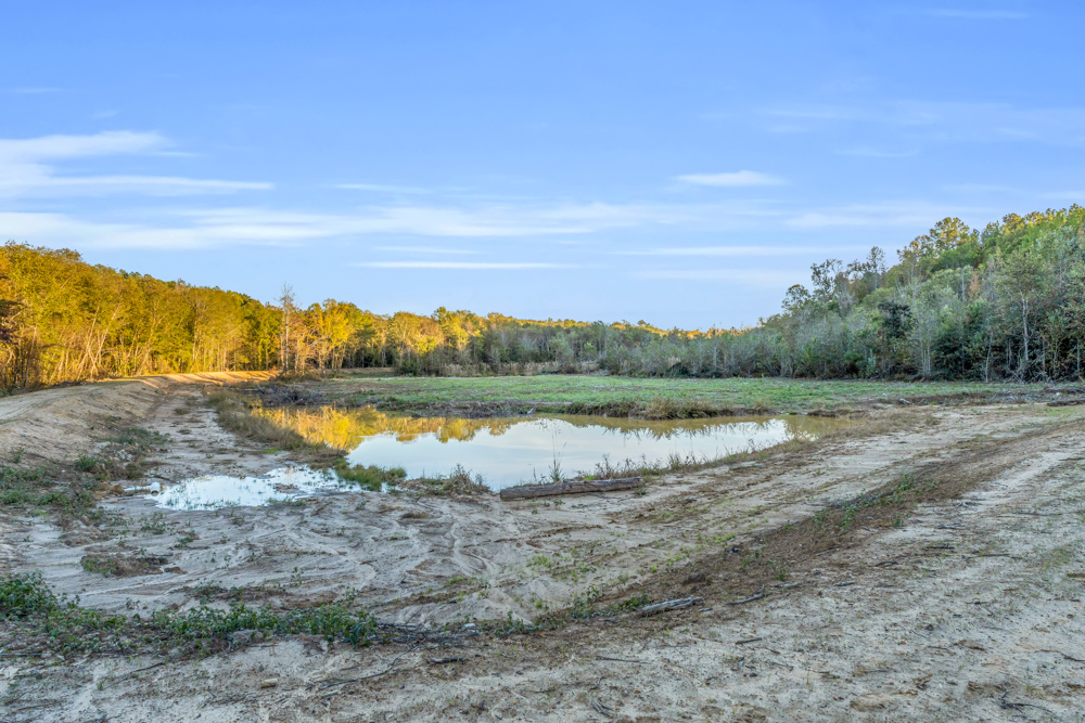 Multi-Use Land with Duck Pond, Year-Round Creek, and Prime Hunting Opportunities