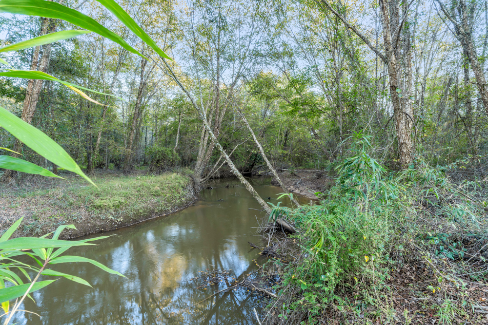 Multi-Use Land with Duck Pond, Year-Round Creek, and Prime Hunting Opportunities
