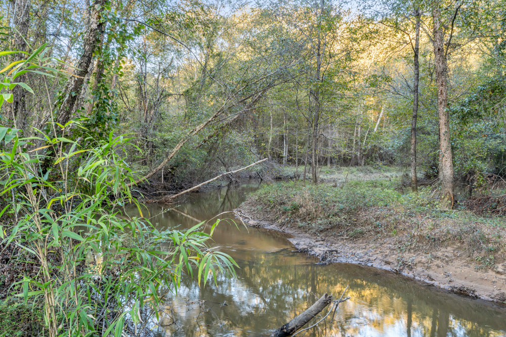 Multi-Use Land with Duck Pond, Year-Round Creek, and Prime Hunting Opportunities