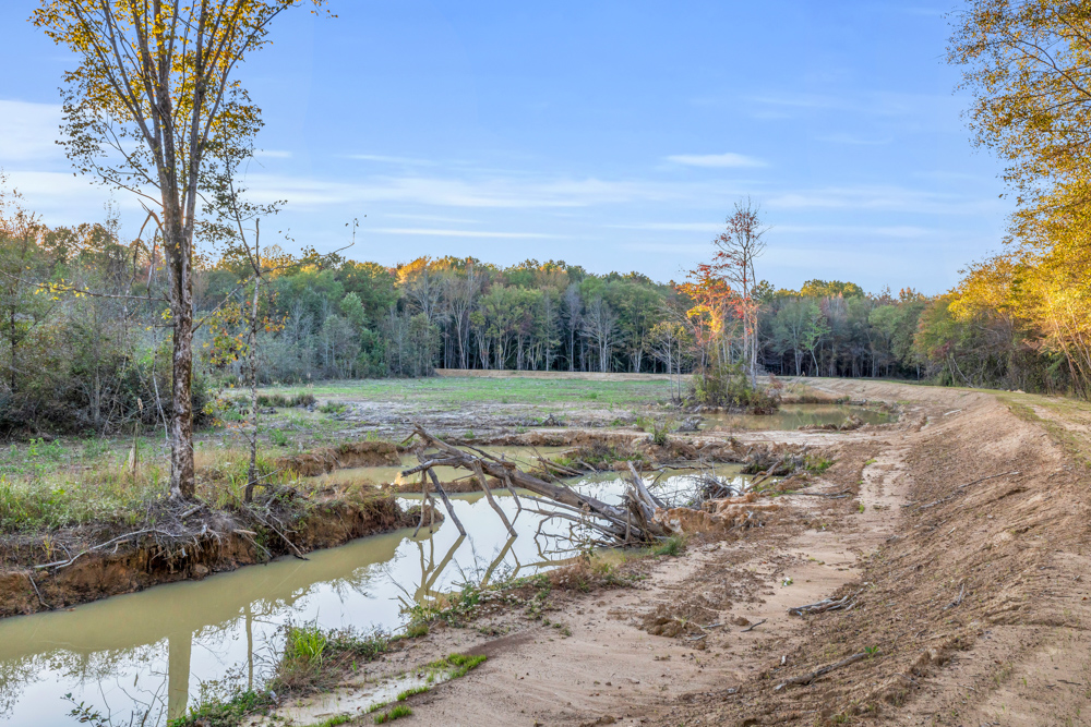Multi-Use Land with Duck Pond, Year-Round Creek, and Prime Hunting Opportunities
