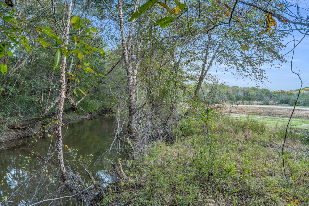 Multi-Use Land with Duck Pond, Year-Round Creek, and Prime Hunting Opportunities