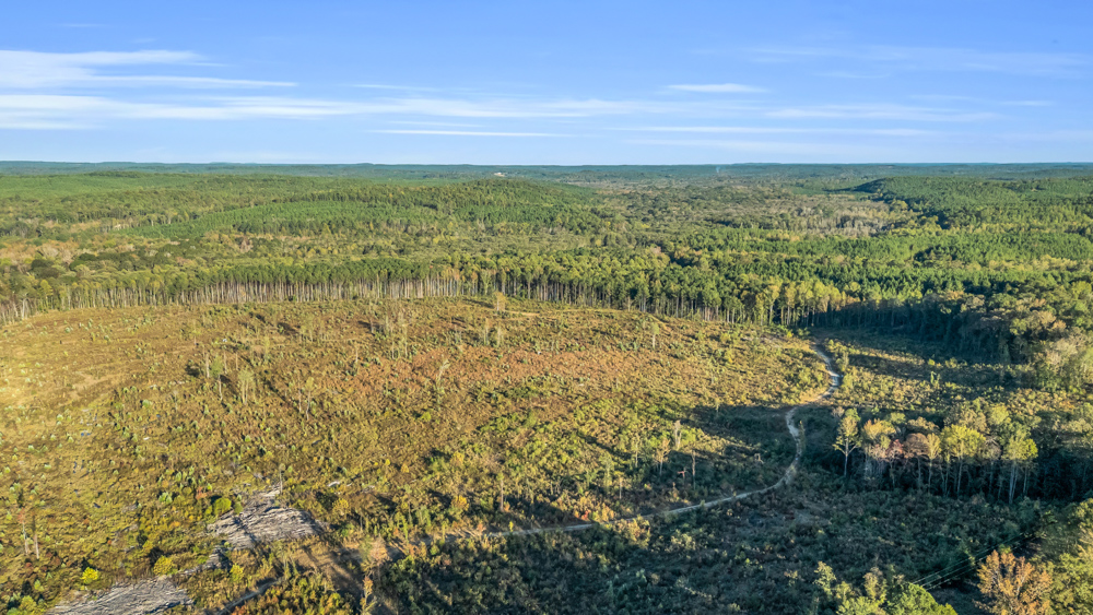 Multi-Use Land with Duck Pond, Year-Round Creek, and Prime Hunting Opportunities