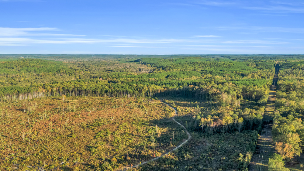 Multi-Use Land with Duck Pond, Year-Round Creek, and Prime Hunting Opportunities