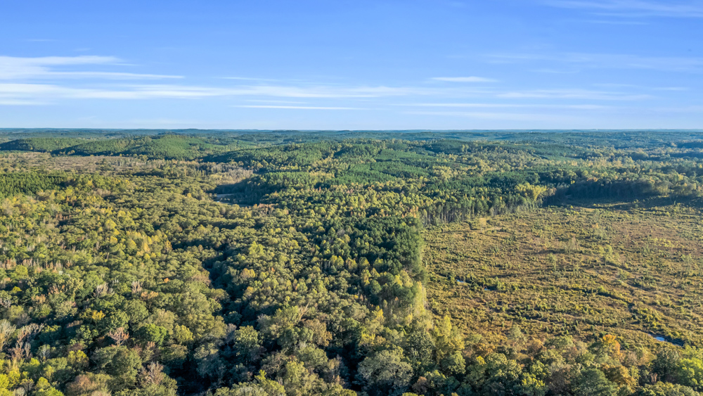 Multi-Use Land with Duck Pond, Year-Round Creek, and Prime Hunting Opportunities