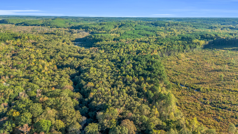 Multi-Use Land with Duck Pond, Year-Round Creek, and Prime Hunting Opportunities