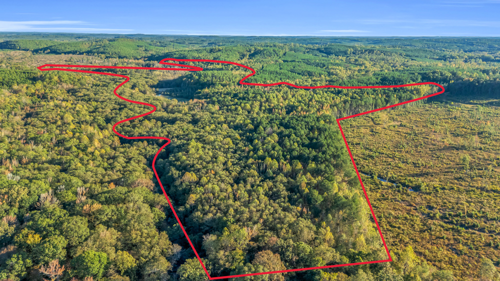 Multi-Use Land with Duck Pond, Year-Round Creek, and Prime Hunting Opportunities
