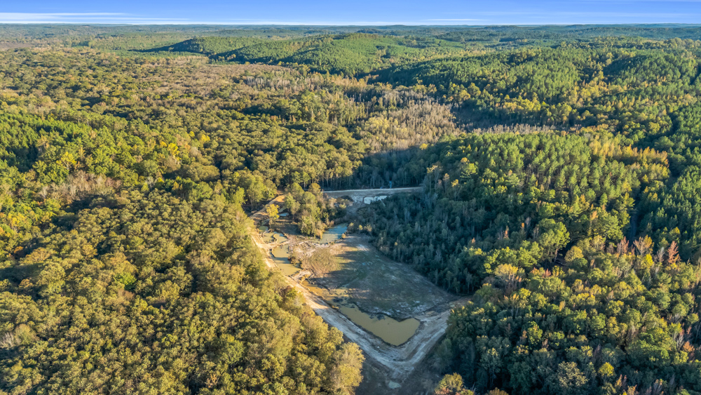 Multi-Use Land with Duck Pond, Year-Round Creek, and Prime Hunting Opportunities