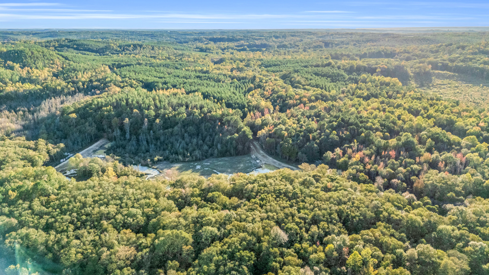 Multi-Use Land with Duck Pond, Year-Round Creek, and Prime Hunting Opportunities