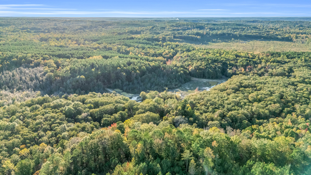 Multi-Use Land with Duck Pond, Year-Round Creek, and Prime Hunting Opportunities