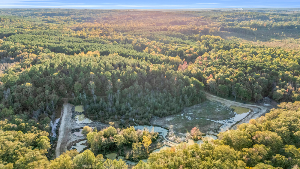 Multi-Use Land with Duck Pond, Year-Round Creek, and Prime Hunting Opportunities