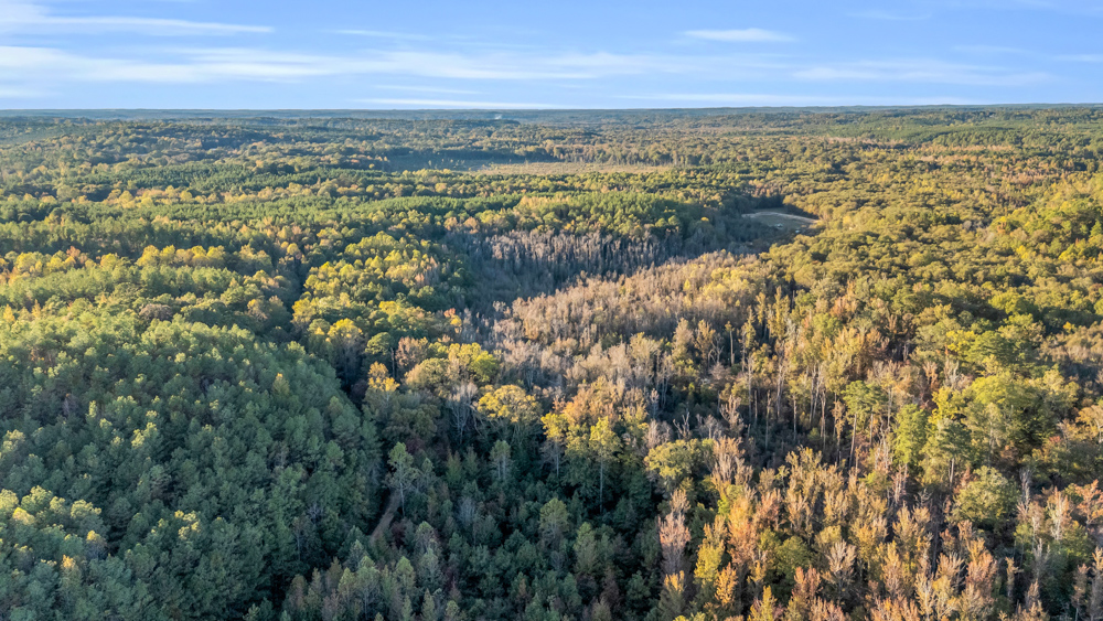 Multi-Use Land with Duck Pond, Year-Round Creek, and Prime Hunting Opportunities