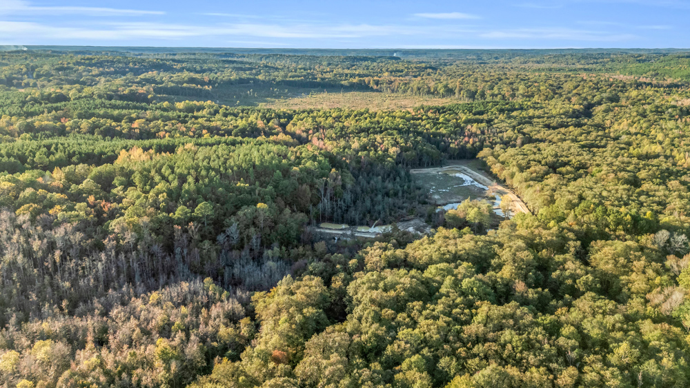 Multi-Use Land with Duck Pond, Year-Round Creek, and Prime Hunting Opportunities