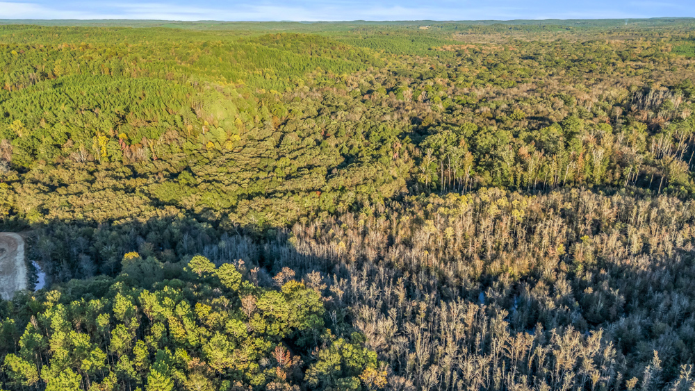 Multi-Use Land with Duck Pond, Year-Round Creek, and Prime Hunting Opportunities