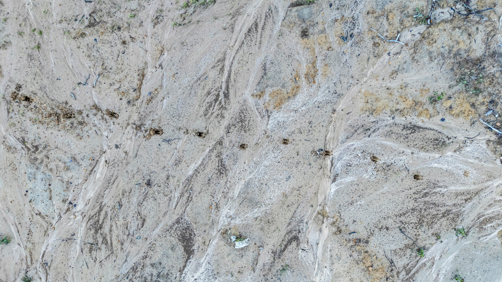 Multi-Use Land with Duck Pond, Year-Round Creek, and Prime Hunting Opportunities