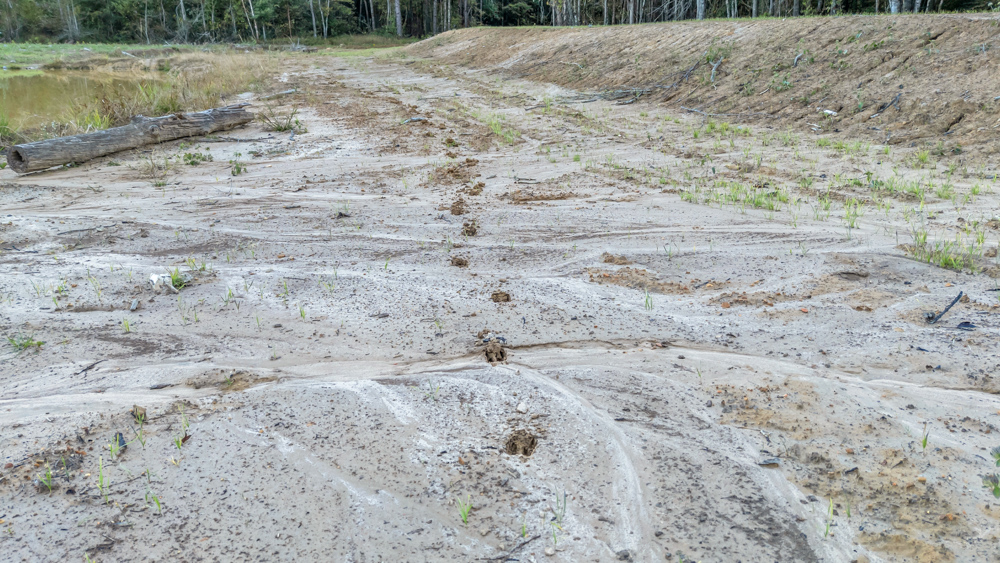 Multi-Use Land with Duck Pond, Year-Round Creek, and Prime Hunting Opportunities