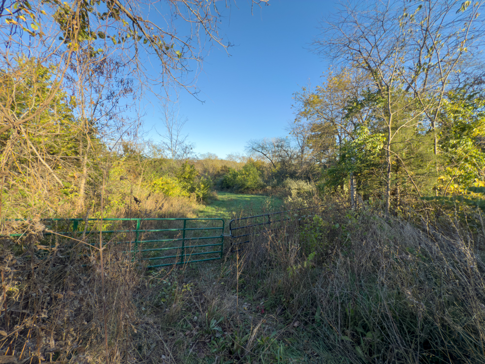 Hunting Paradise with Income