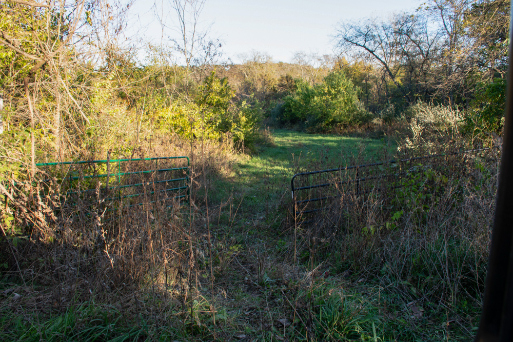 Hunting Paradise with Income