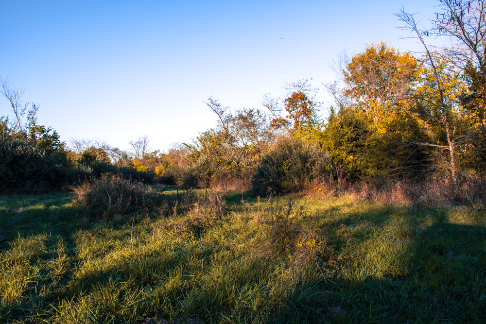 Hunting Paradise with Income