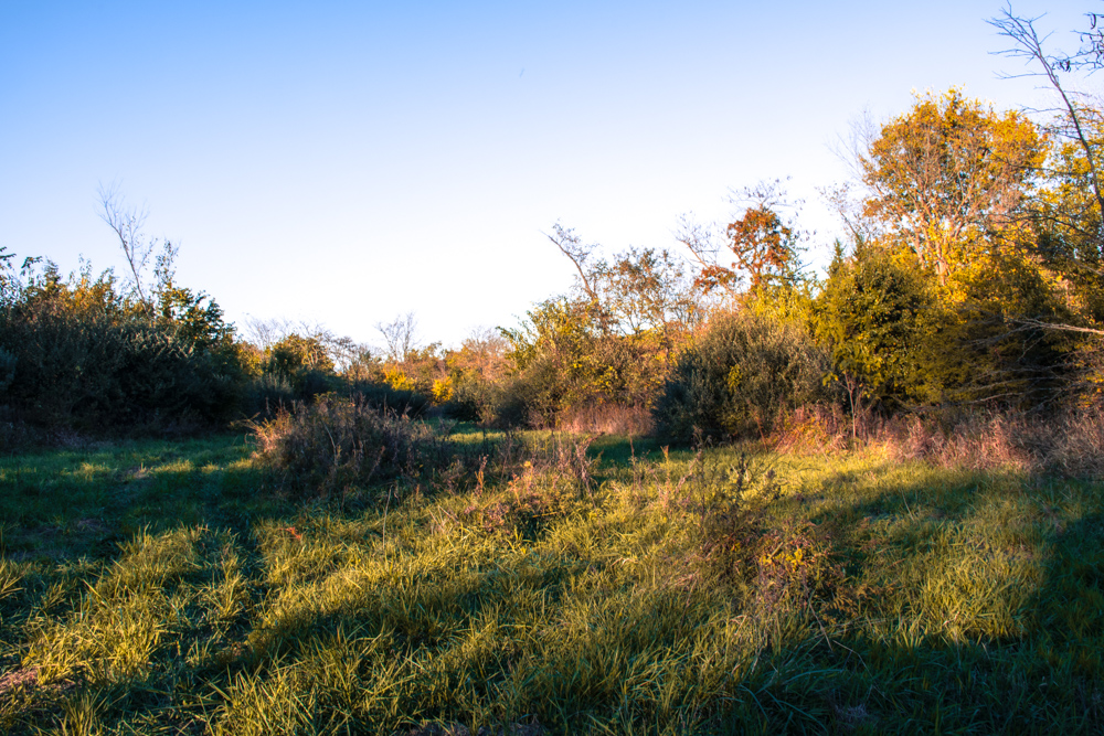 Hunting Paradise with Income