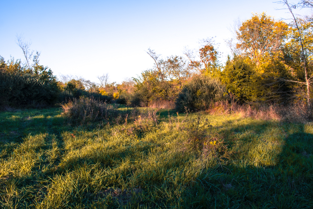 Hunting Paradise with Income