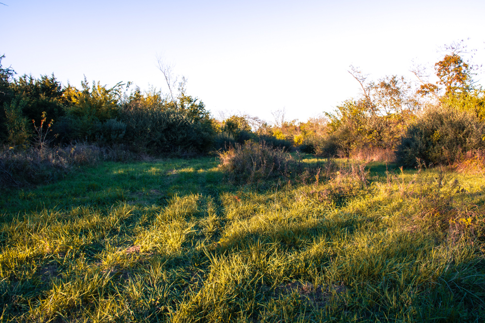 Hunting Paradise with Income