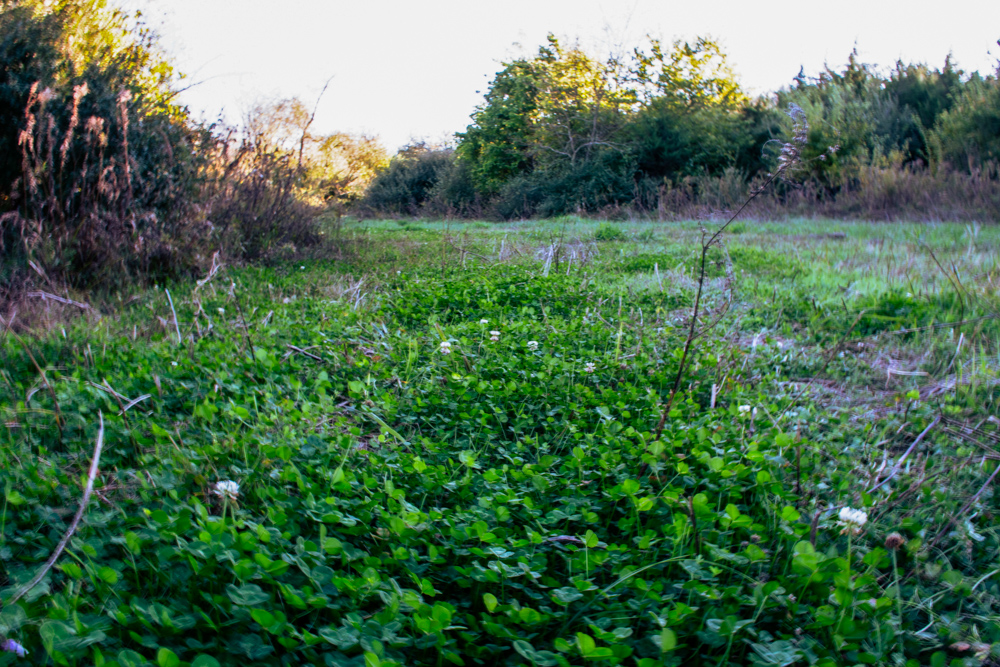Hunting Paradise with Income
