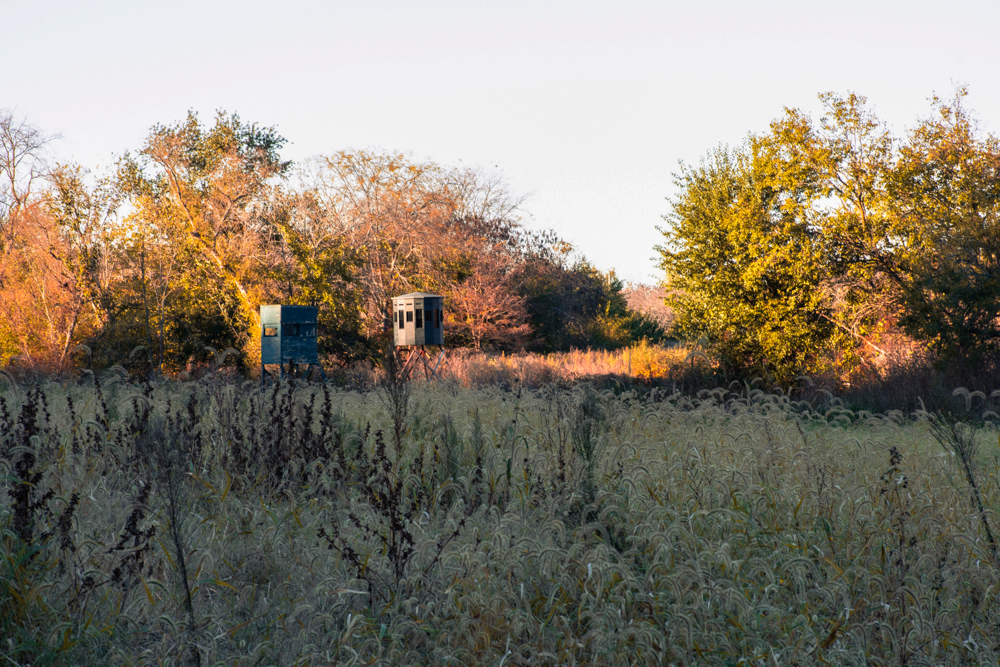 Hunting Paradise with Income