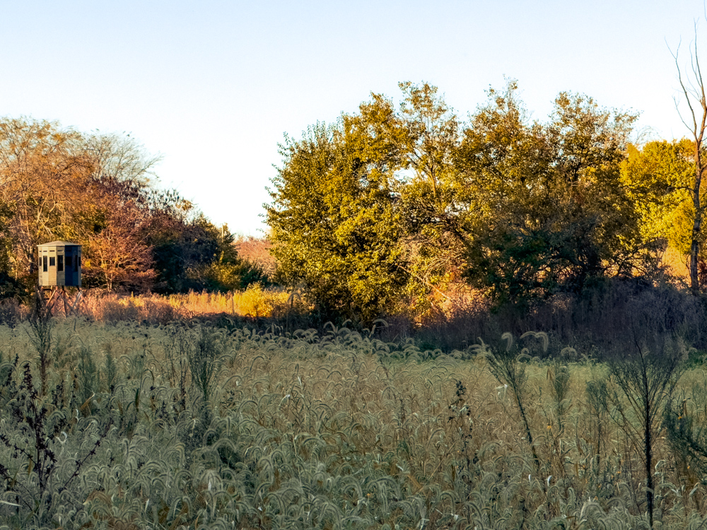 Hunting Paradise with Income