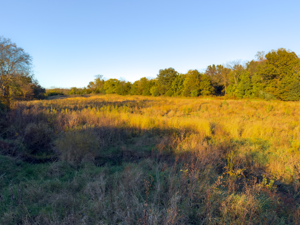 Hunting Paradise with Income