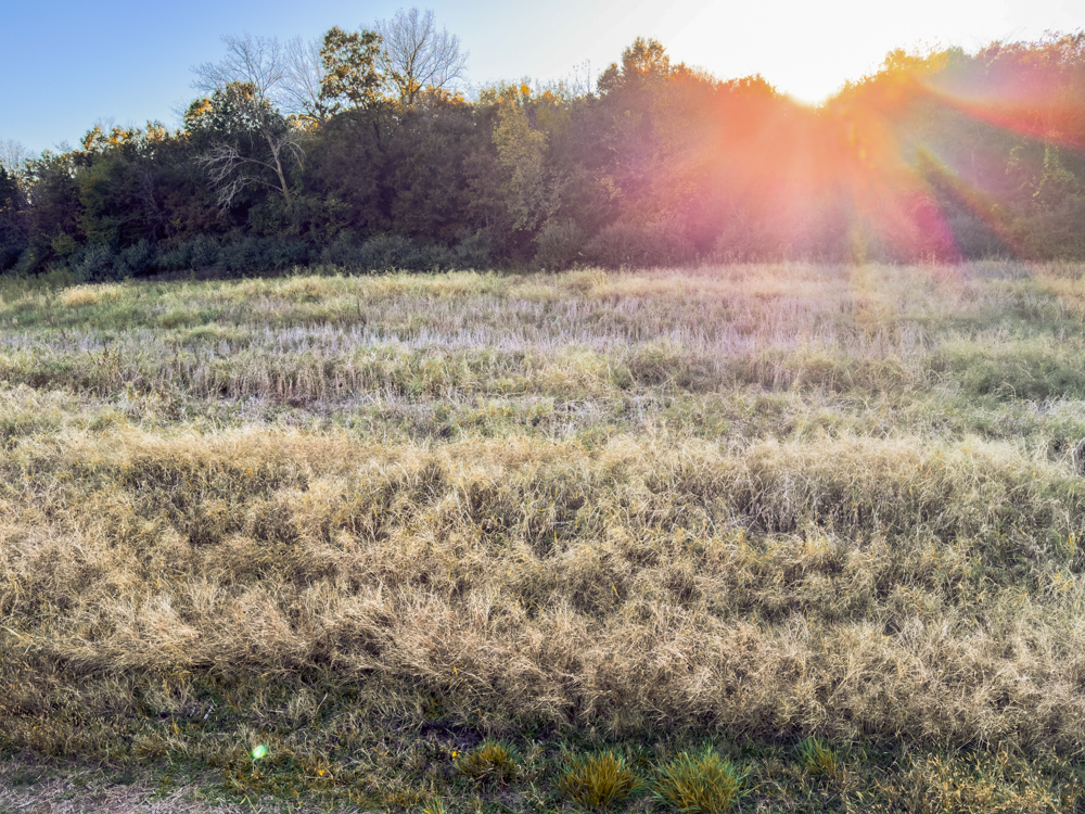 Hunting Paradise with Income