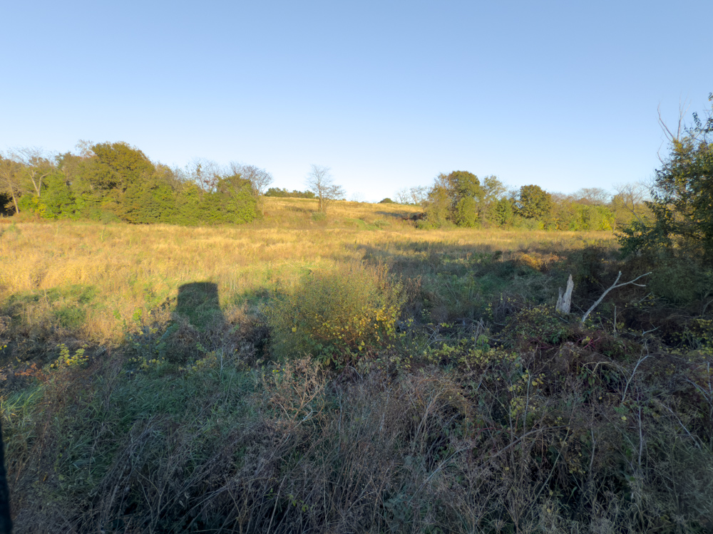 Hunting Paradise with Income
