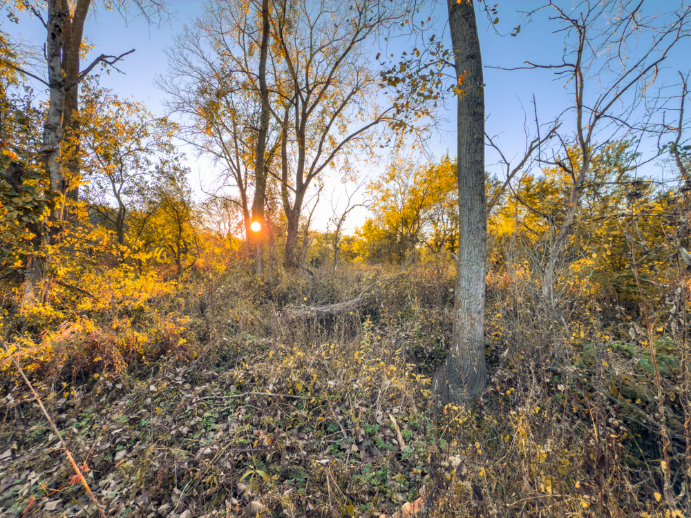 Hunting Paradise with Income