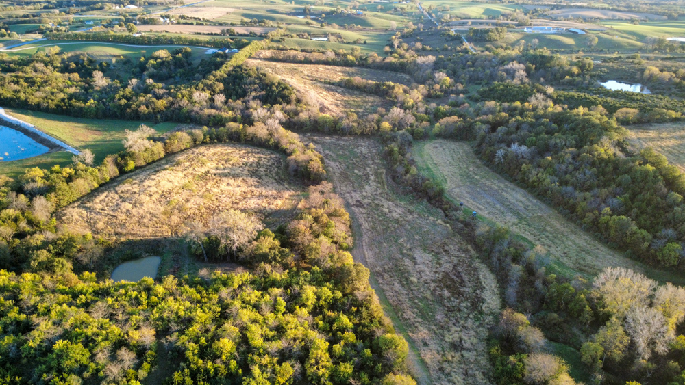Hunting Paradise with Income