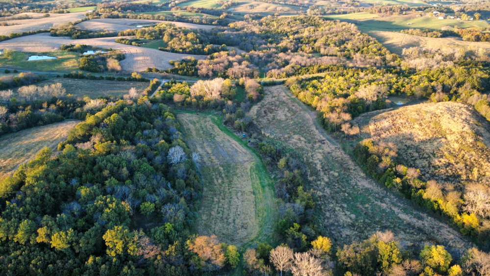 Hunting Paradise with Income