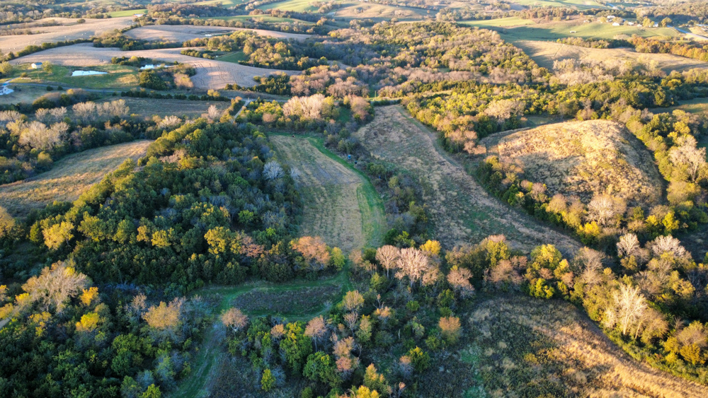 Hunting Paradise with Income