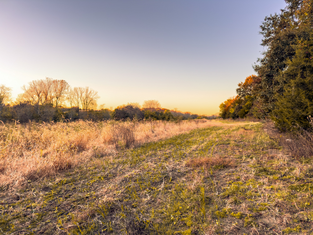 Hunting Paradise with Income