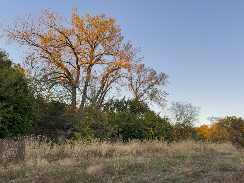 Hunting Paradise with Income