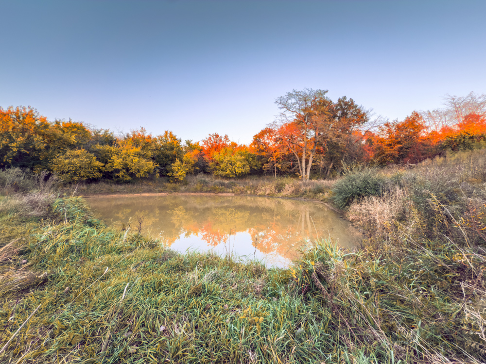 Hunting Paradise with Income