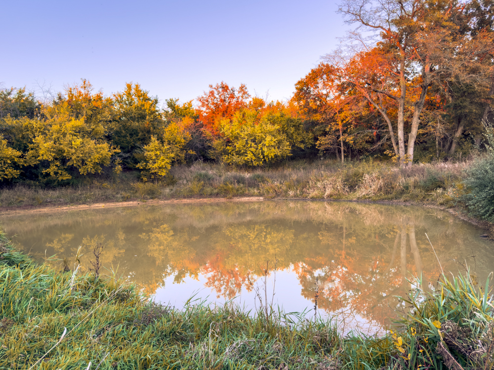 Hunting Paradise with Income