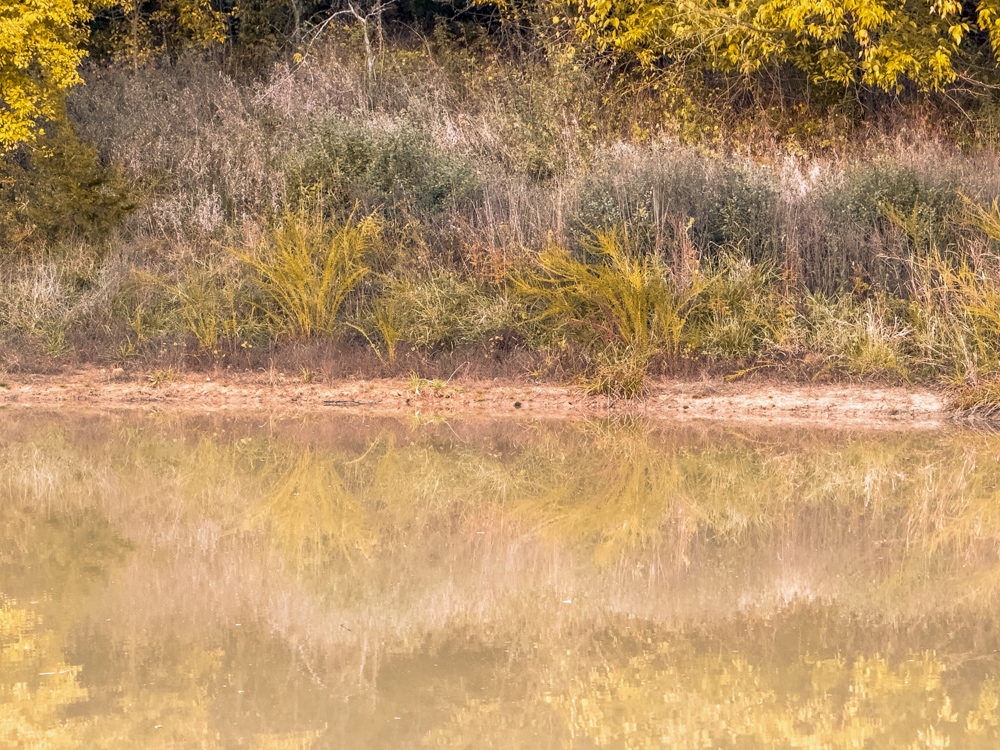 Hunting Paradise with Income