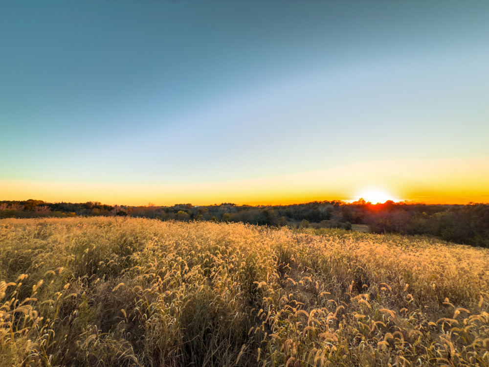 Hunting Paradise with Income