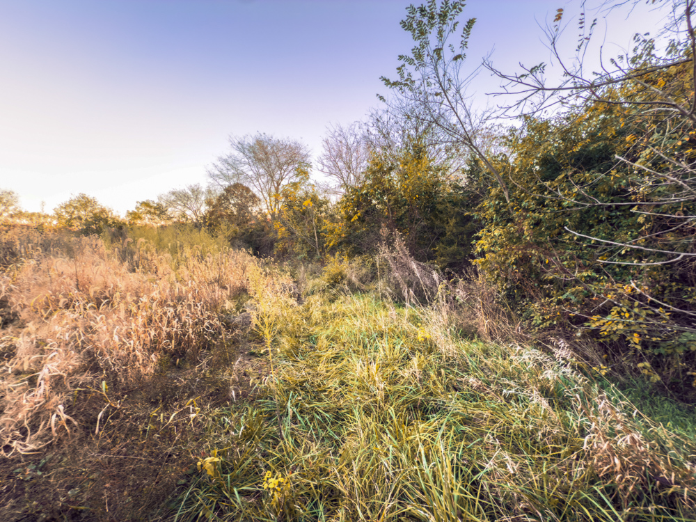 Hunting Paradise with Income