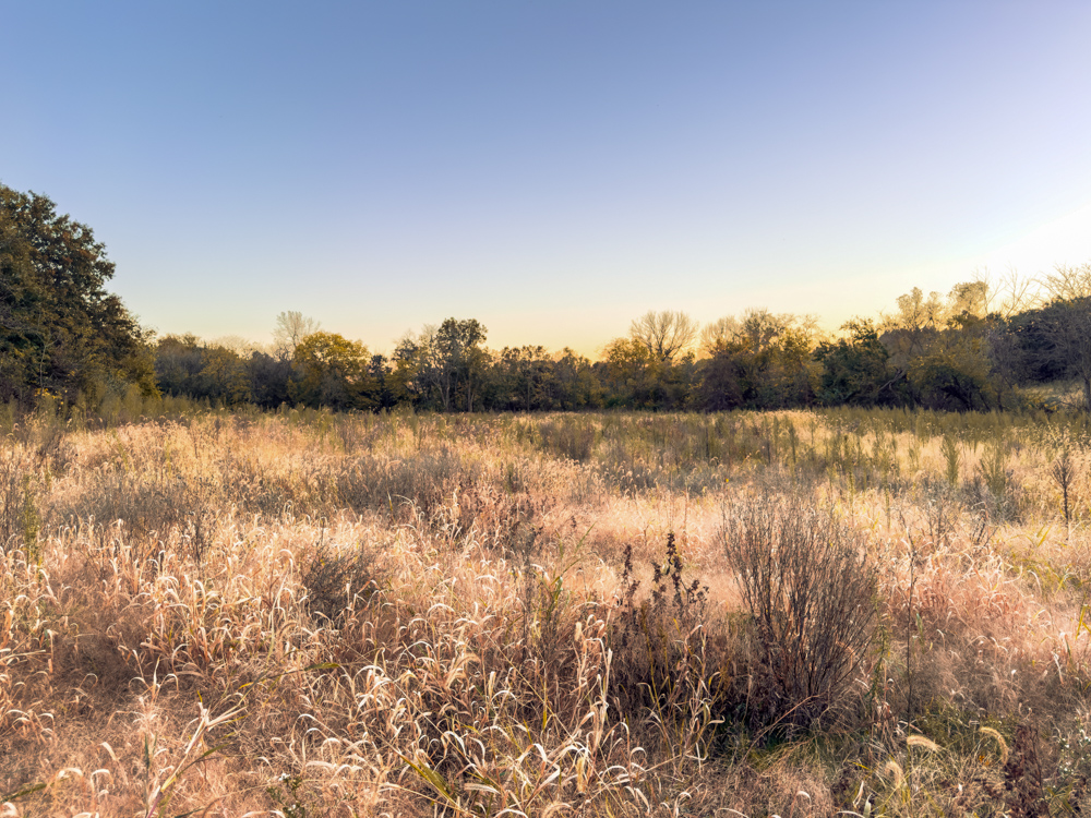 Hunting Paradise with Income