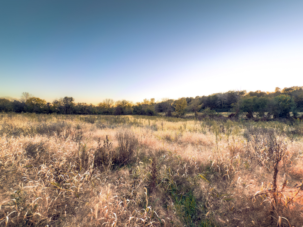 Hunting Paradise with Income
